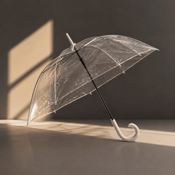 Crystal Clear Transparent Bubble Umbrella
